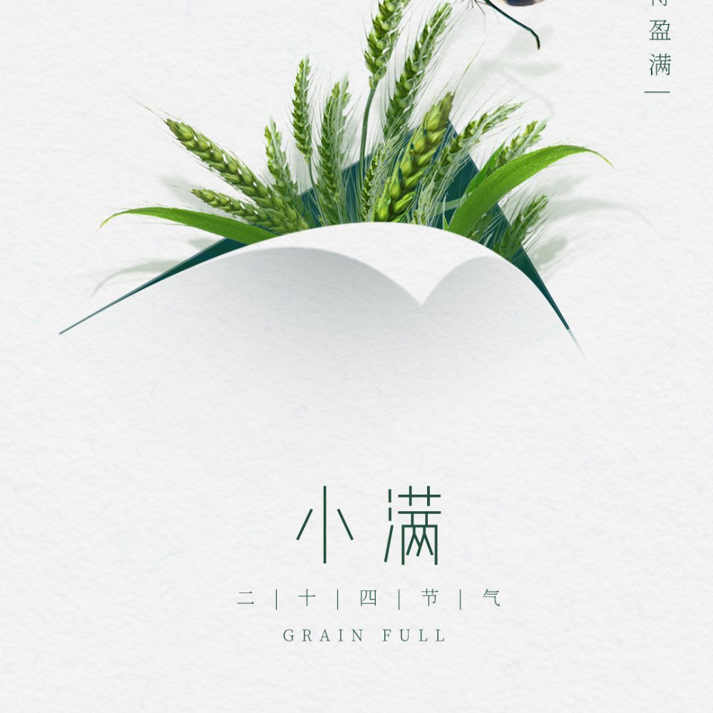 荷净净化 ｜ 物至于此 小得盈满