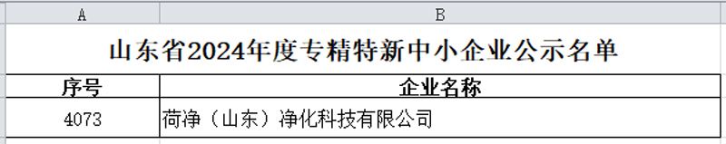 【喜报】荷净（山东）净化科技有限公司获评山东省2024年度专精特新中小企业